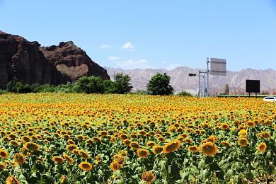 索尼修复PS5电池耗尽后无法离线玩游戏的问题